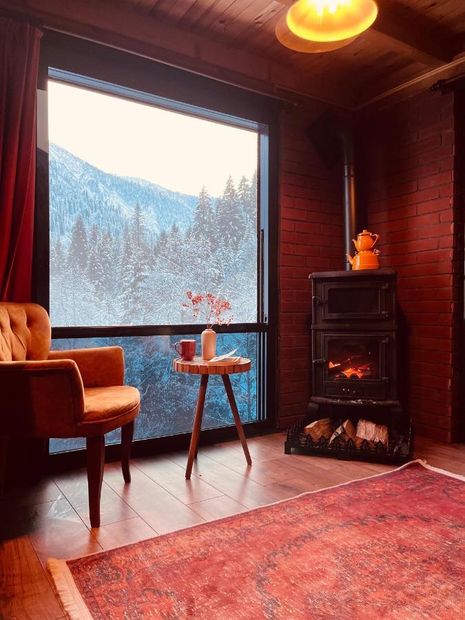 Willa Kukudi House Ayder Yaylasi Zewnętrze zdjęcie